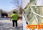யானையை சீண்டியவருக்கு ரூ.25 ஆயிரம் அபராதம்