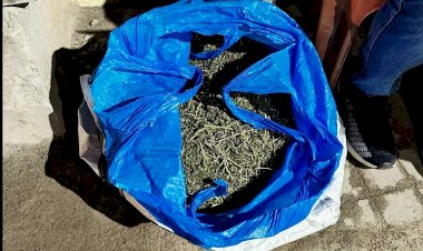 மராட்டியத்தில் ரூ.22 லட்சம் மதிப்பிலான கஞ்சா பறிமுதல்; இருவர் கைது